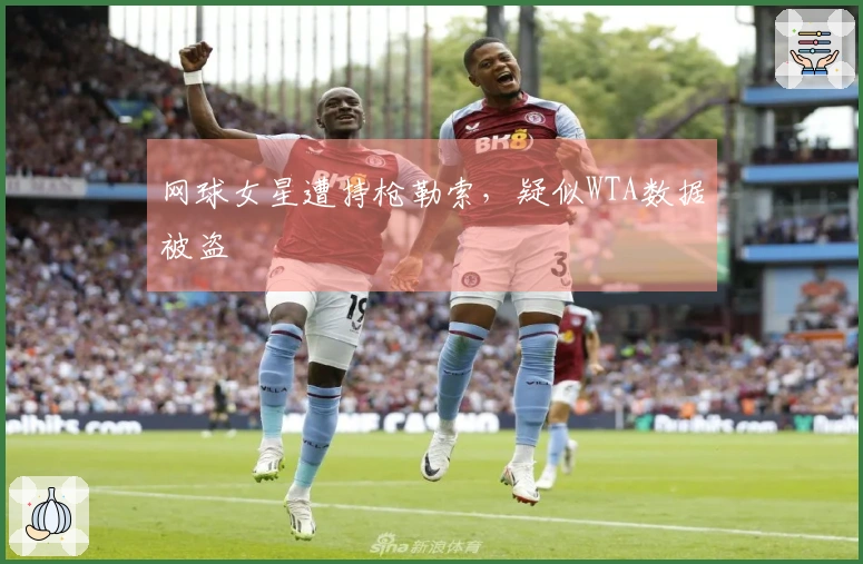 网球女星遭持枪勒索，疑似WTA数据被盗